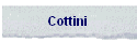 Cottini