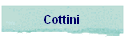 Cottini