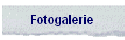 Fotogalerie
