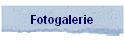 Fotogalerie